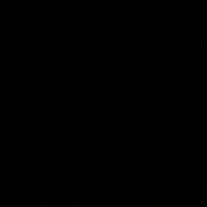 Meet your Posher, Arye